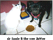 picture of cat Sassie and dog ZoWee